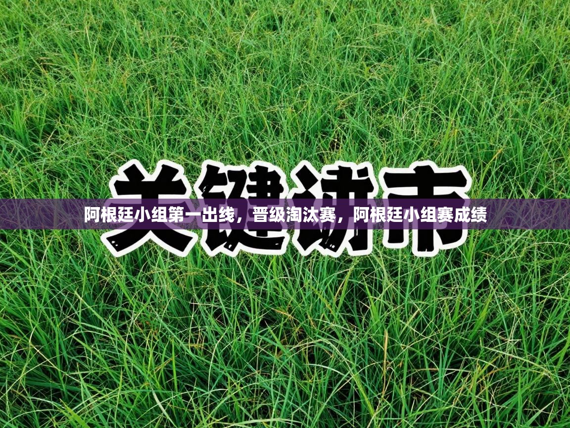 阿根廷小组第一出线，晋级淘汰赛，阿根廷小组赛成绩  第1张